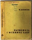184319patologia_lasu_1.jpg